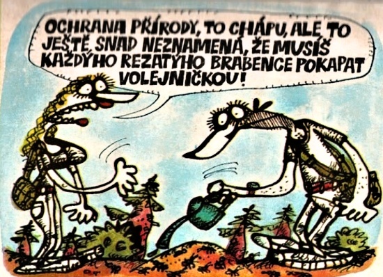 Vycital ochranapri