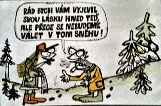 Vycital radbychvam