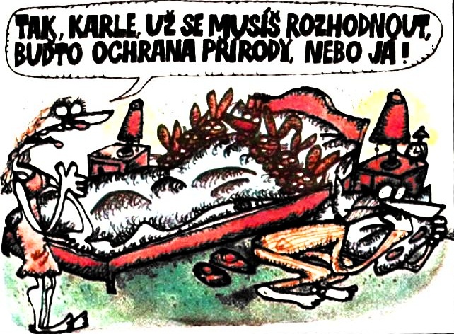 Vycital takkarleuz