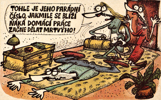 Vycital tohlejejeh