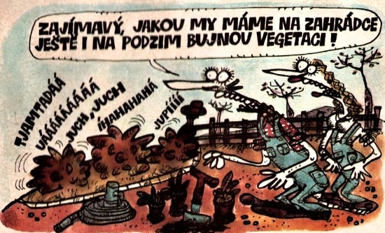 Vycital zajimavyja