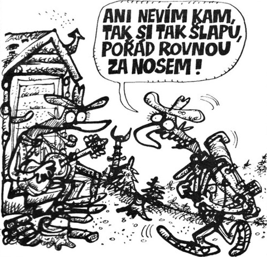 Vycital aninevimka