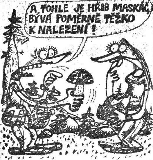 Vycital atohlejehr