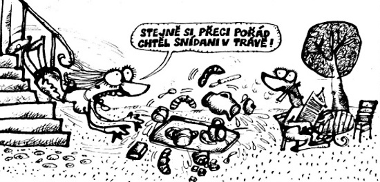 Vycital stejnesipo
