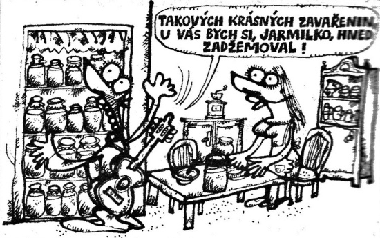 Vycital takovychkr