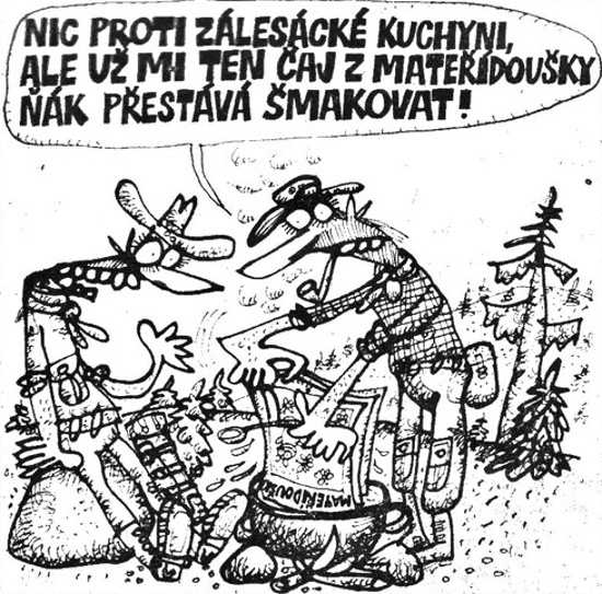Vycital nicprotiza