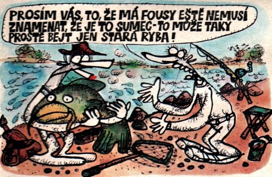 Vycital prosimvasj