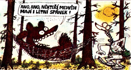 Vycital anoanonekt