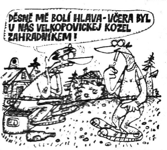 Vycital desnemebol