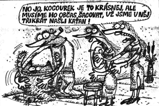 Vycital nojokocour