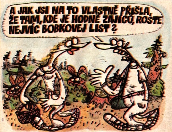 Vycital ajakjsinat