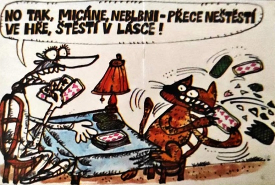 Vycital notakmican