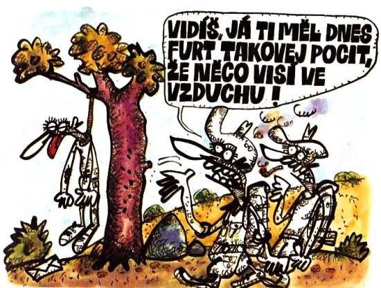 Vycital vidisjatim