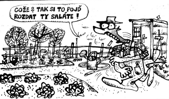 Vycital cozetaksit