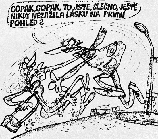 Vycital copakcopak
