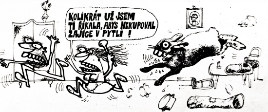Vycital kolikratuz