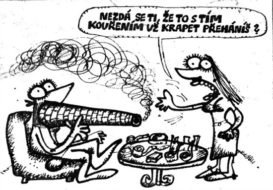 Vycital nezdasetiz