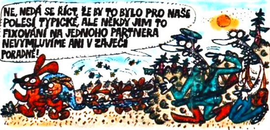 Vycital nenedaseri
