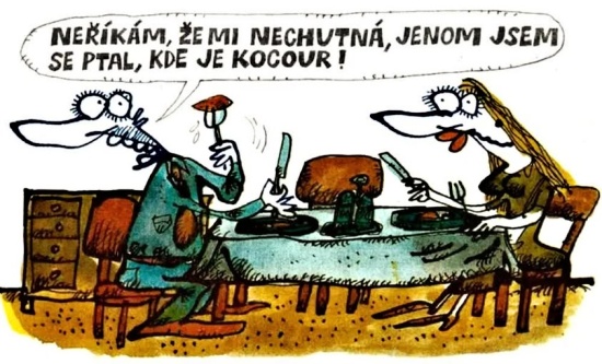 Vycital nerikamzem