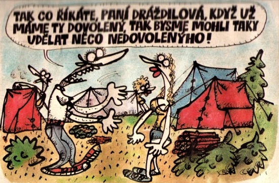 Vycital takcorikat