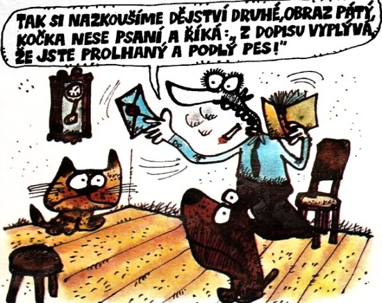 Vycital taksinazko