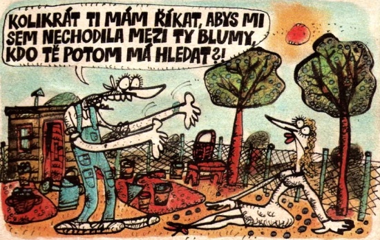 Vycital kolikratti