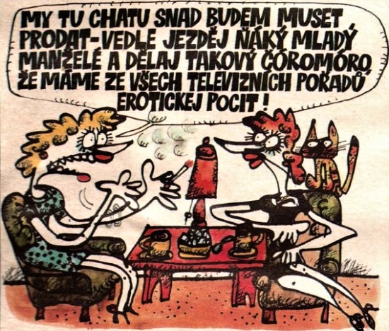 Vycital mytuchatusn