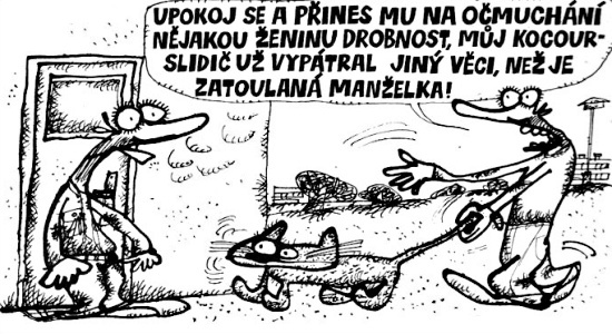 Vycital upokojseap