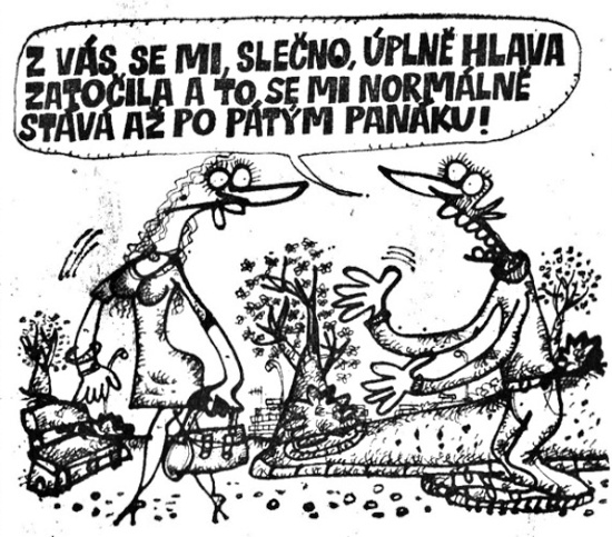 Vycital zvassemisl