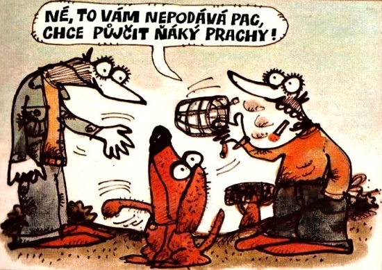 Vycital netovamnep