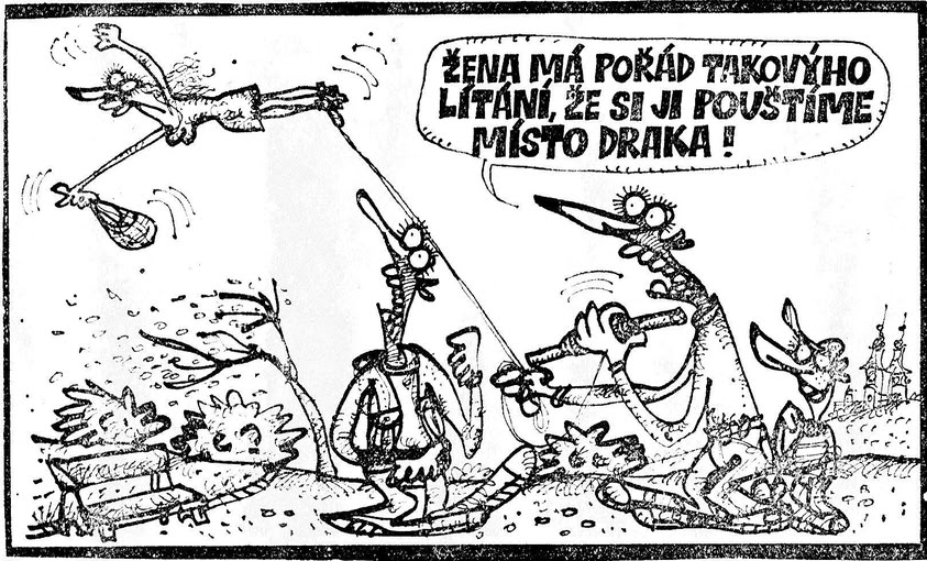 Vycital zenamapora