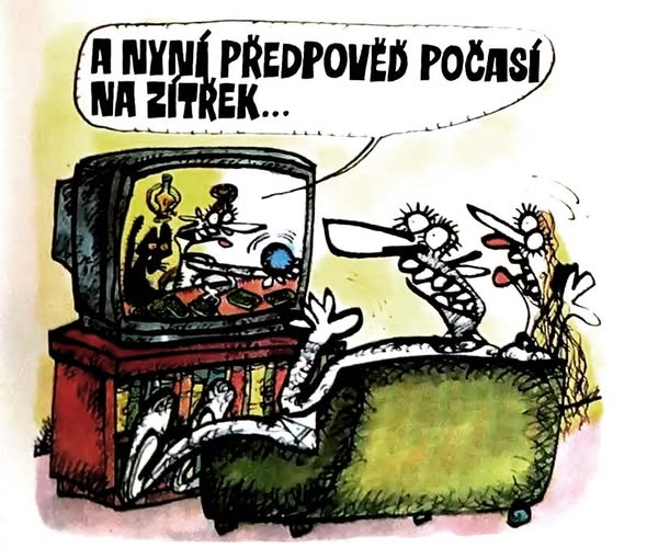 Vycital anynipredp