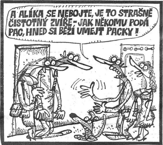 Vycital aalikasene