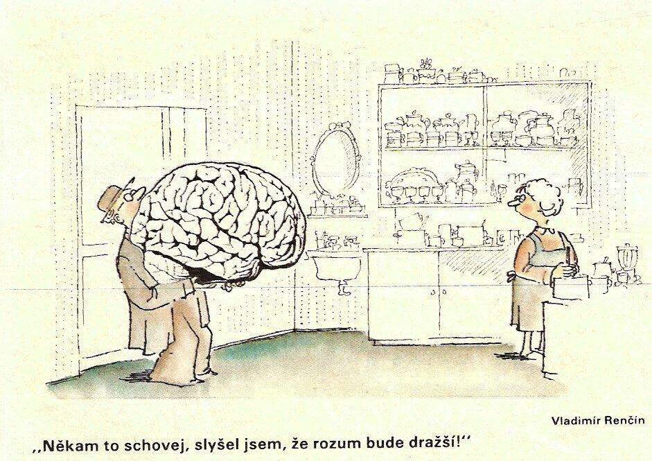 Rencin nekamtosch
