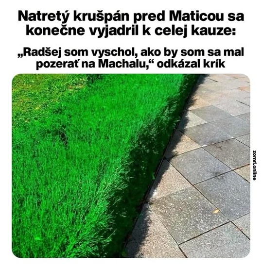dood vyschnutia