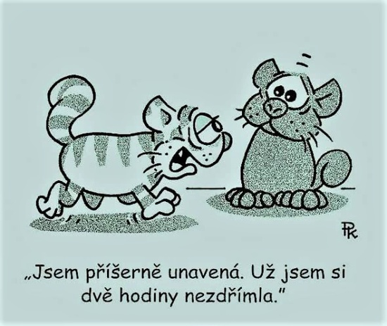 Kantorek jsempriser