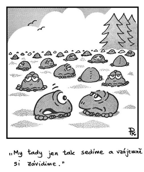 Kantorek mytadyjent