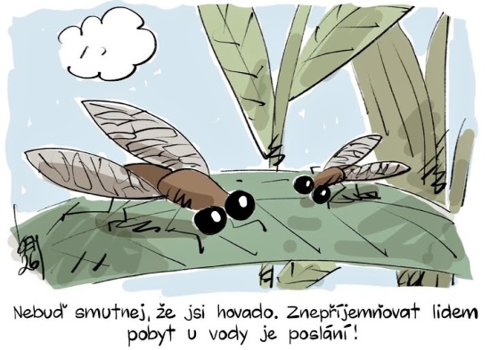 Kemel nebudsmutn