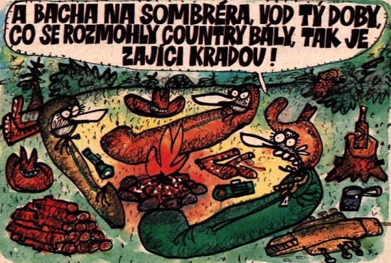 Vycital abachanaso