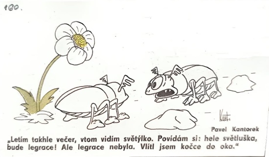 Kantorek letimtakhl