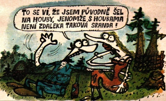 Vycital tosevizejs