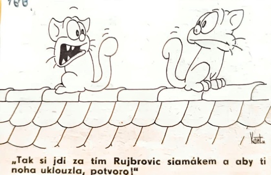 Kantorej taksijddiza
