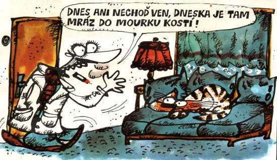 Vycital dnesaninec