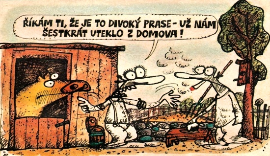 Vycital rikamtizej