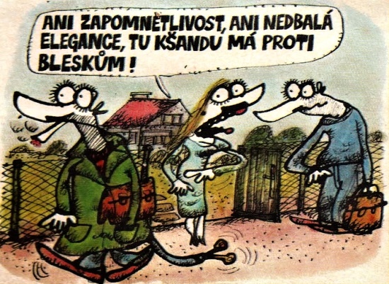 Vycital anizapomne