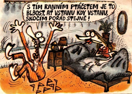 Vycital stimrannim