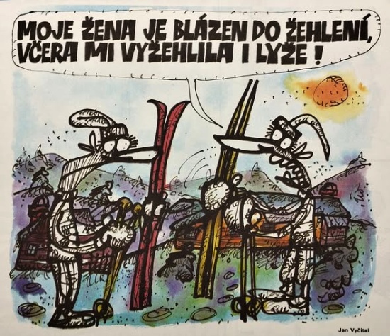 Vycital mojezenaje