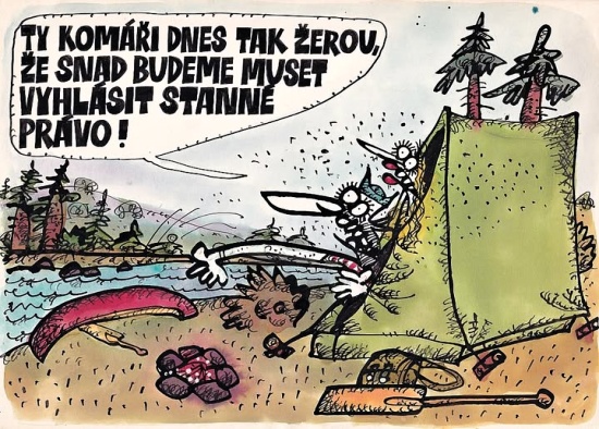 Vycital tykomaridn