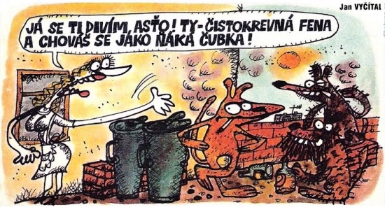 Vycital jasetidivi