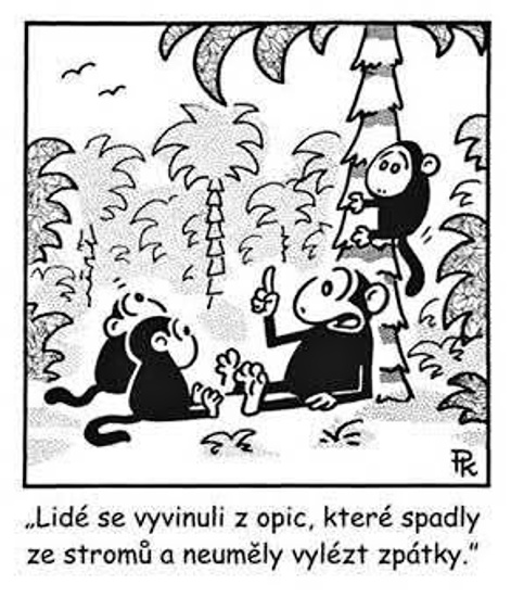 Kantorek lidesevyvi